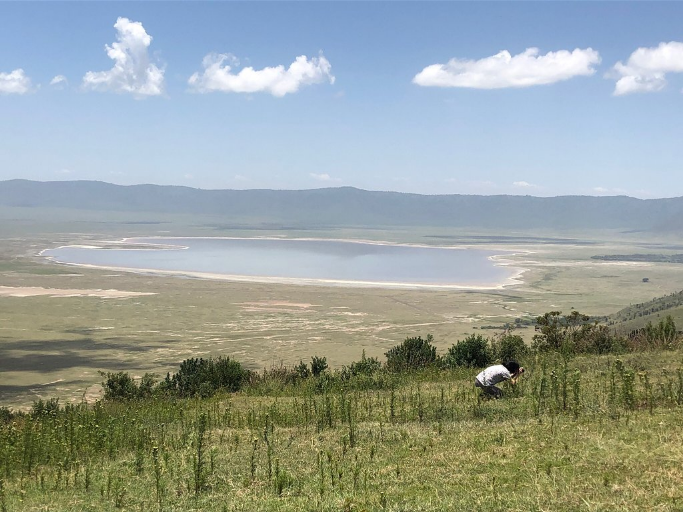Ngorongoro Crater — Oficiais