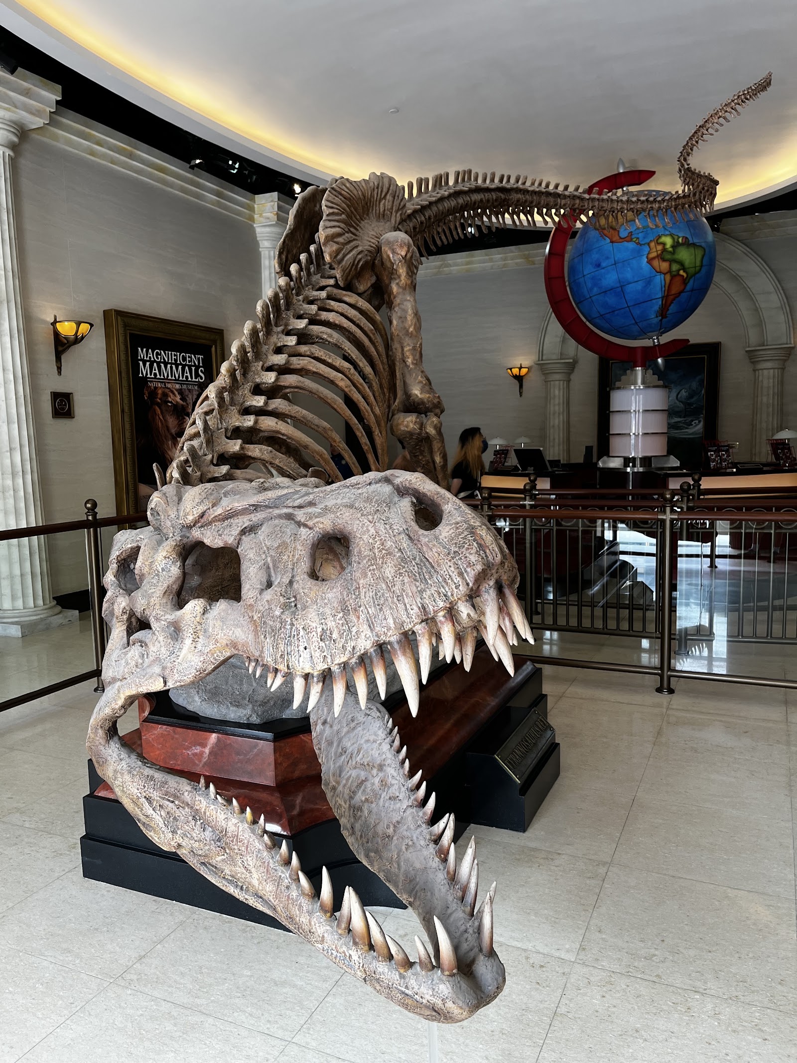 Night at the Museum: Midnight Mayhem
