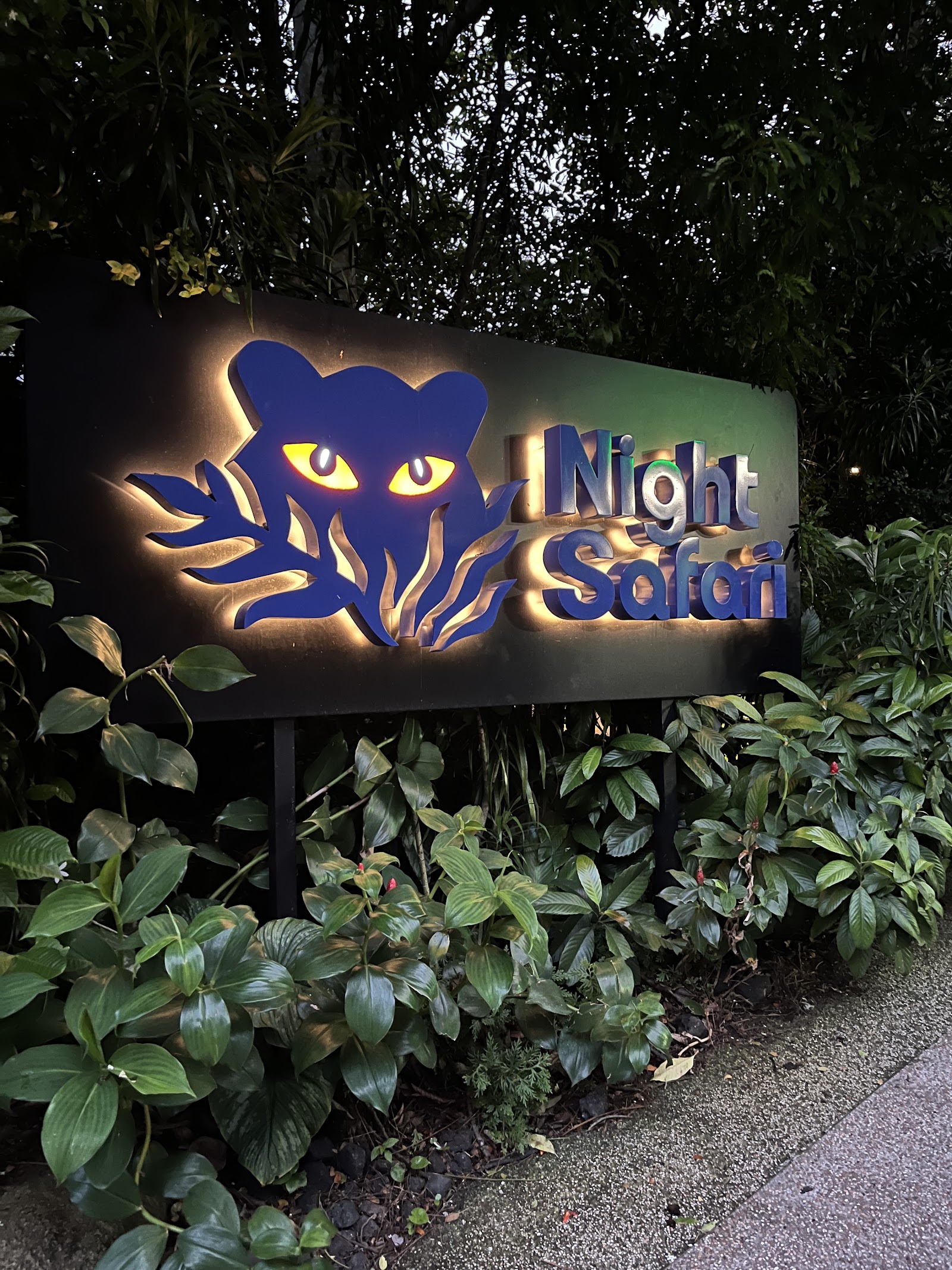 Night Safari — Oficiais