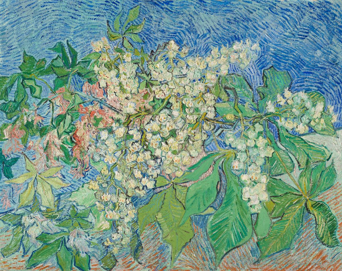 Blossoming Chestnut Branches
