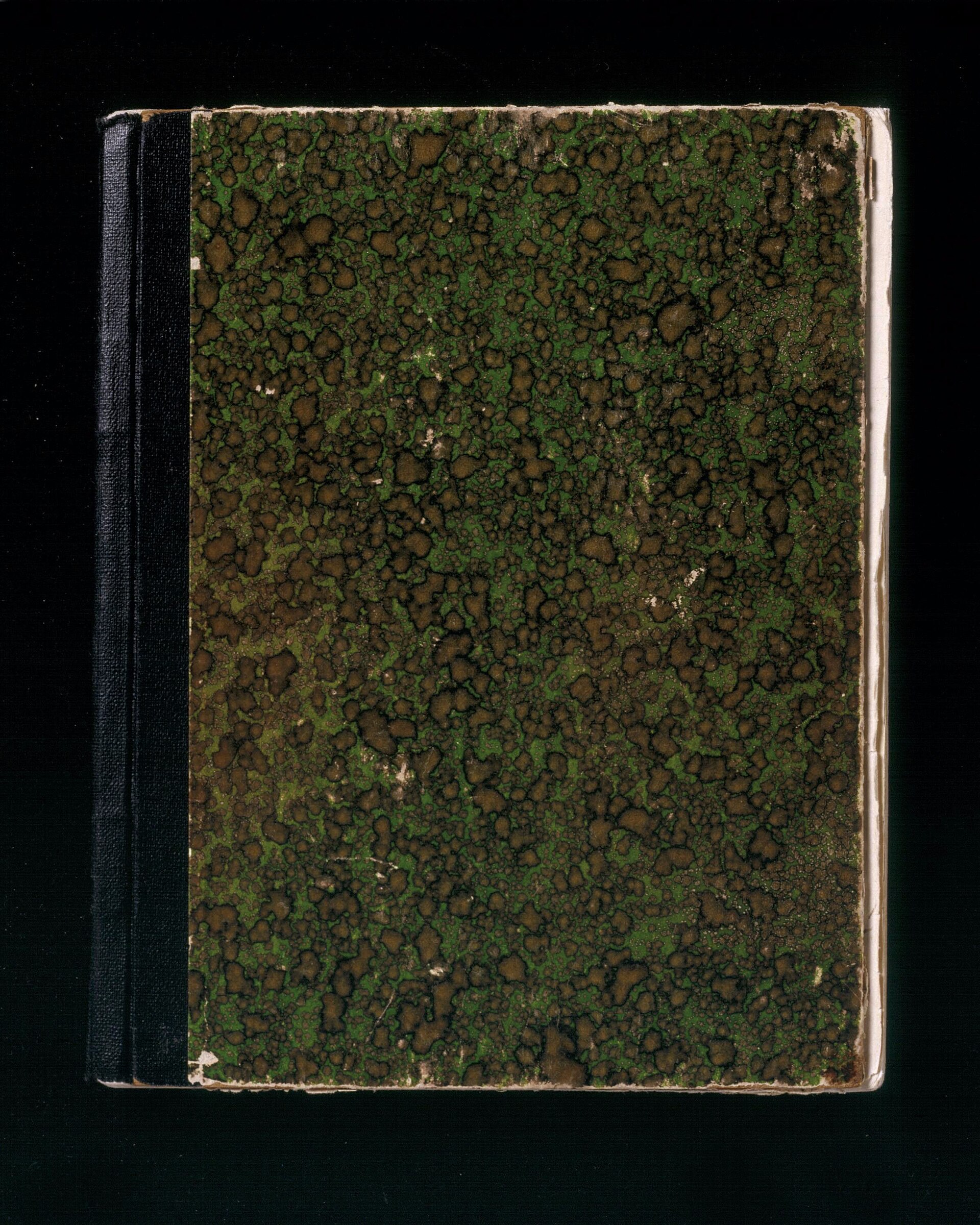 diary manuscript A3 by Anne Frank