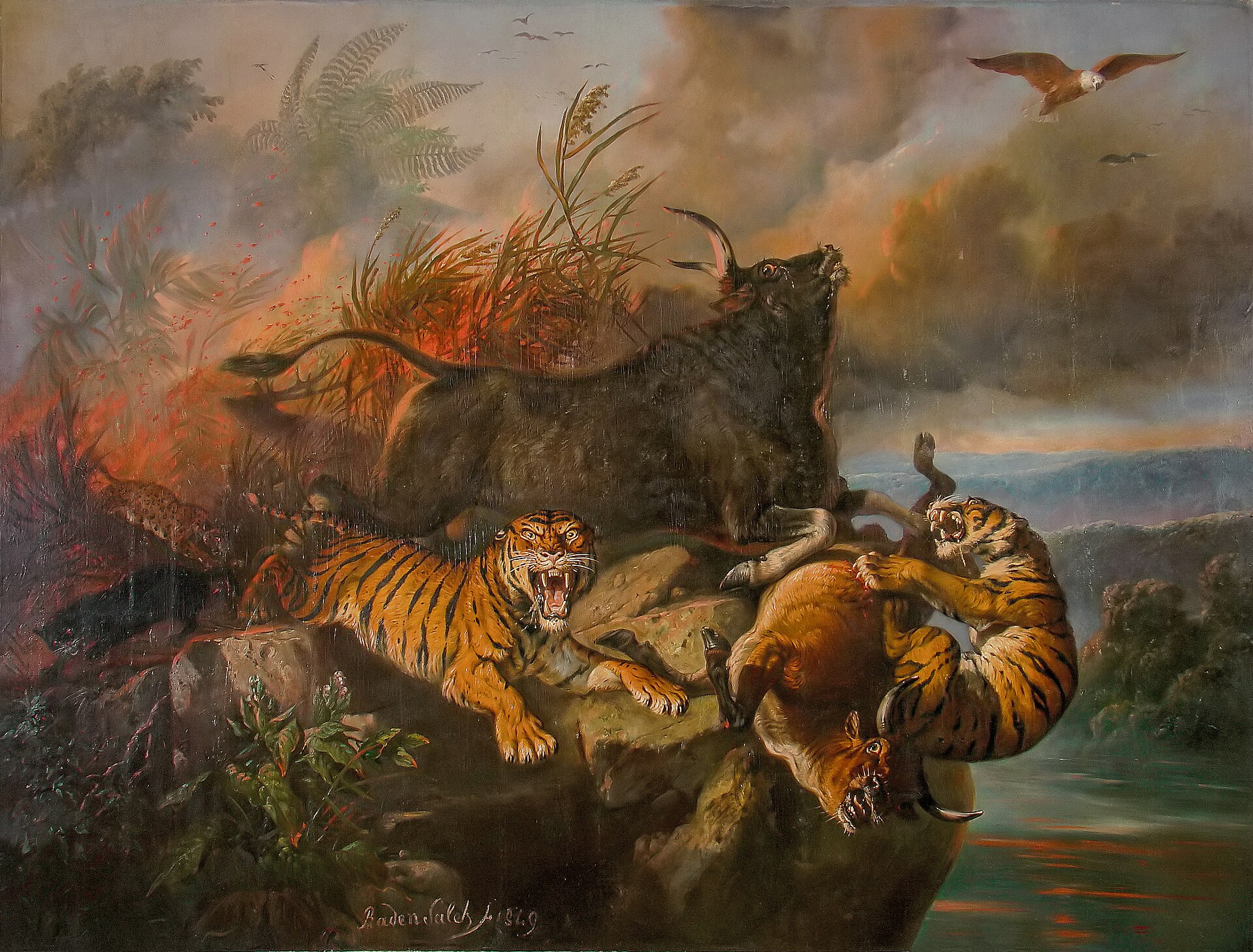 Forest fire
