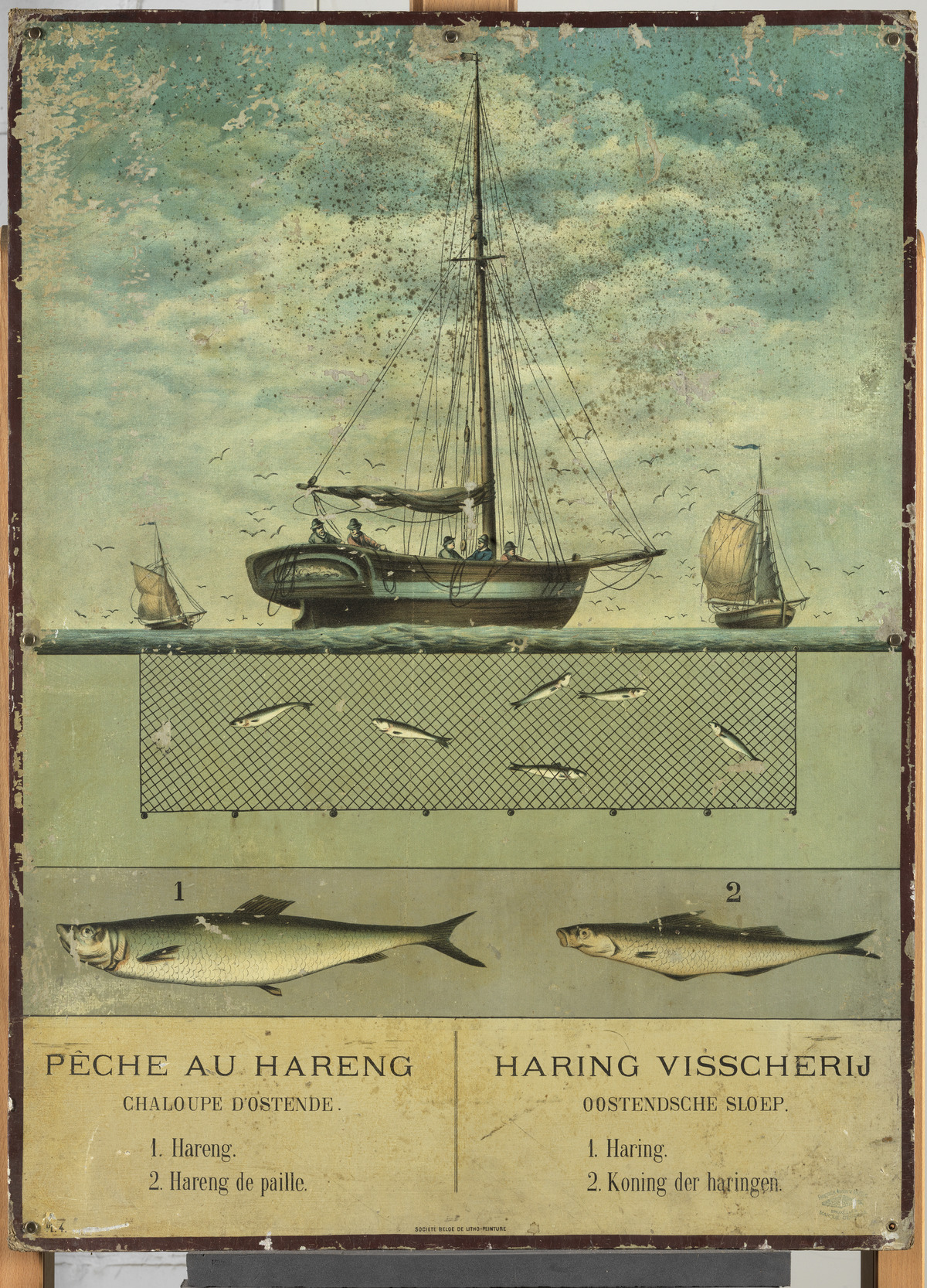 Lithograph ' Pêche au hareng / Haring Visscherij'