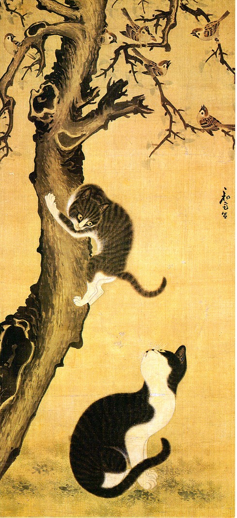 Myojakdo