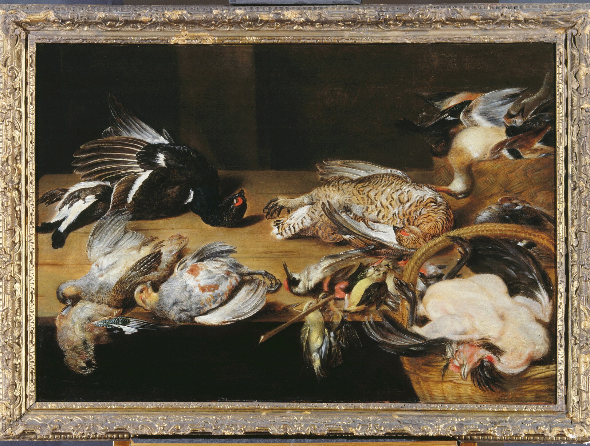 Still life with dead birds