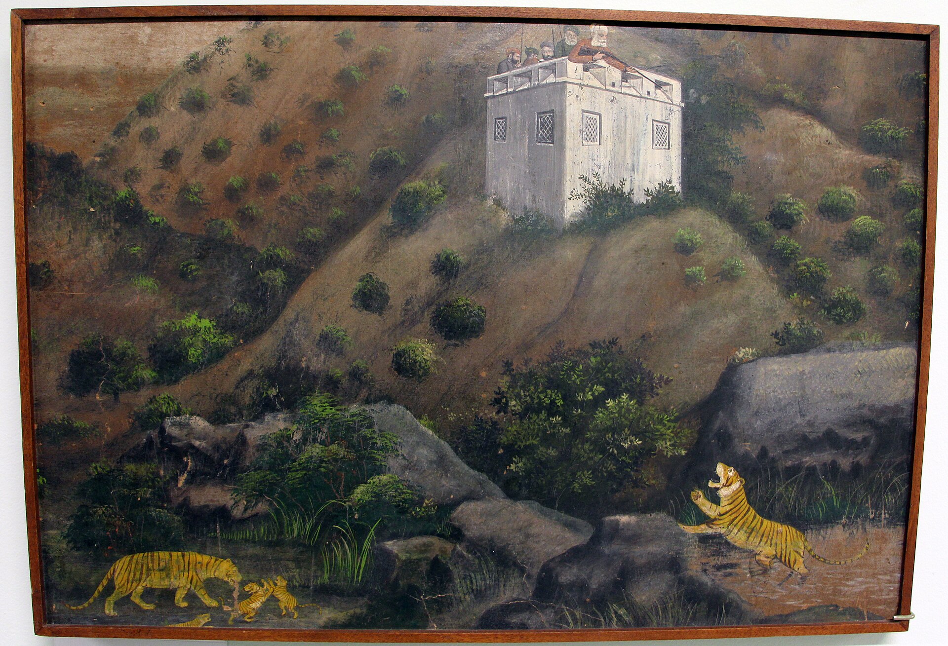 tiger hunt