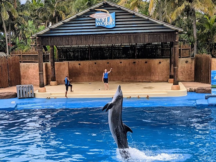 Ocean Walker — Oficiais