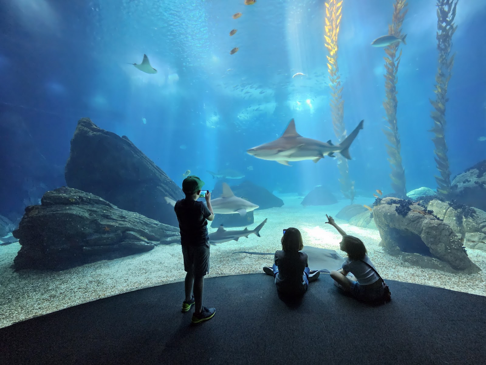 Oceanário de Lisboa — Oficiais