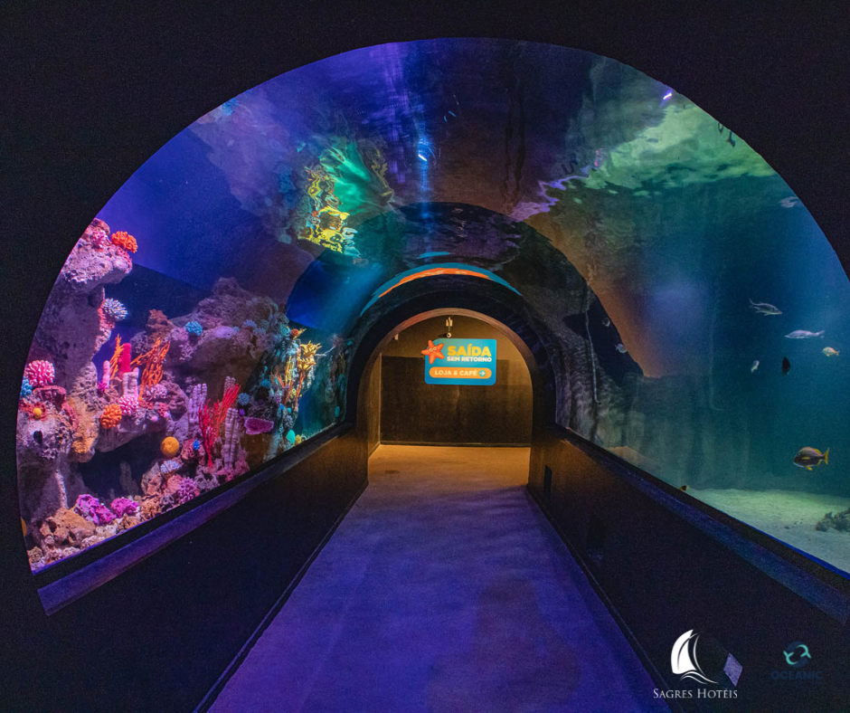 Oceanic Aquarium — Oficiais