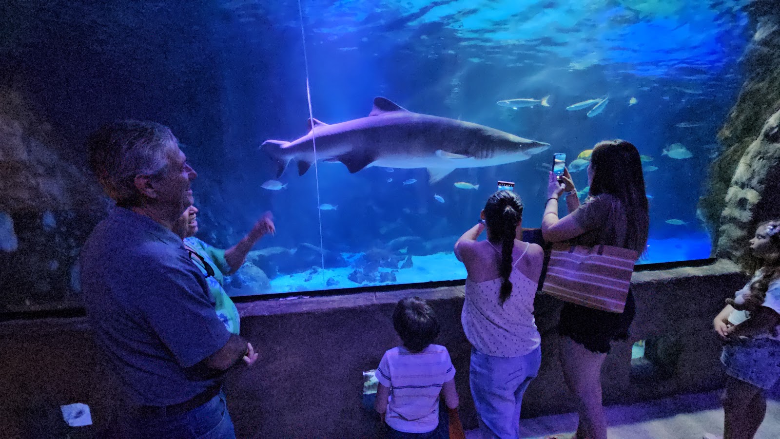 Oceanic Aquarium — Oficiais