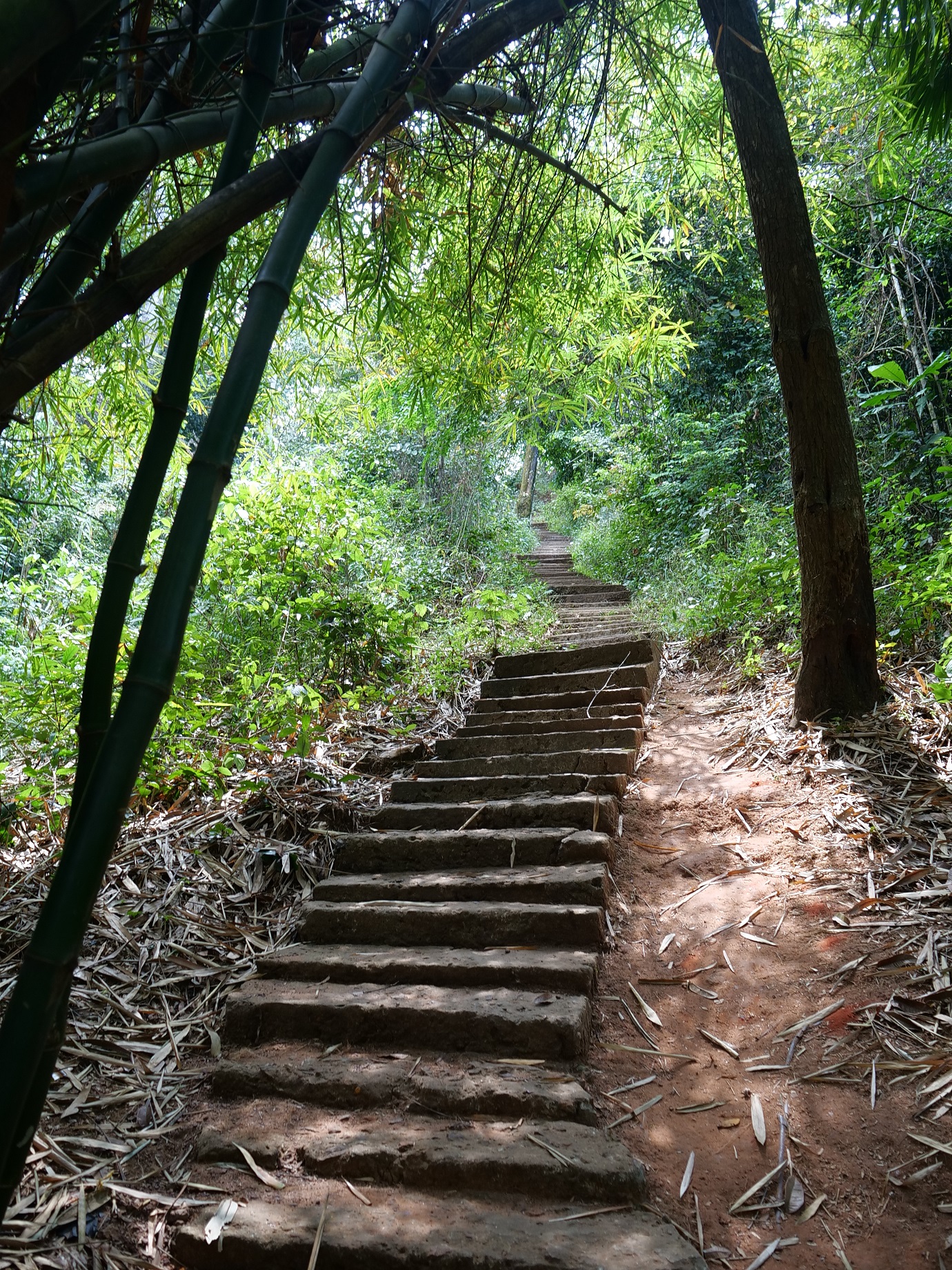 Ogbunike Cave — Oficiais