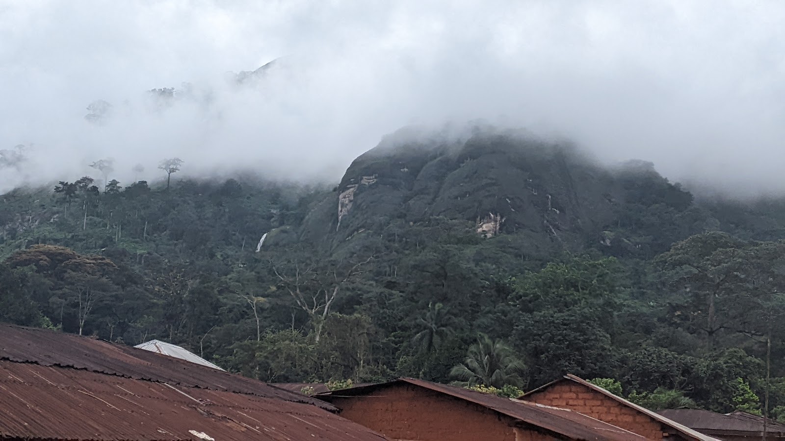 Okwango Forest — Oficiais
