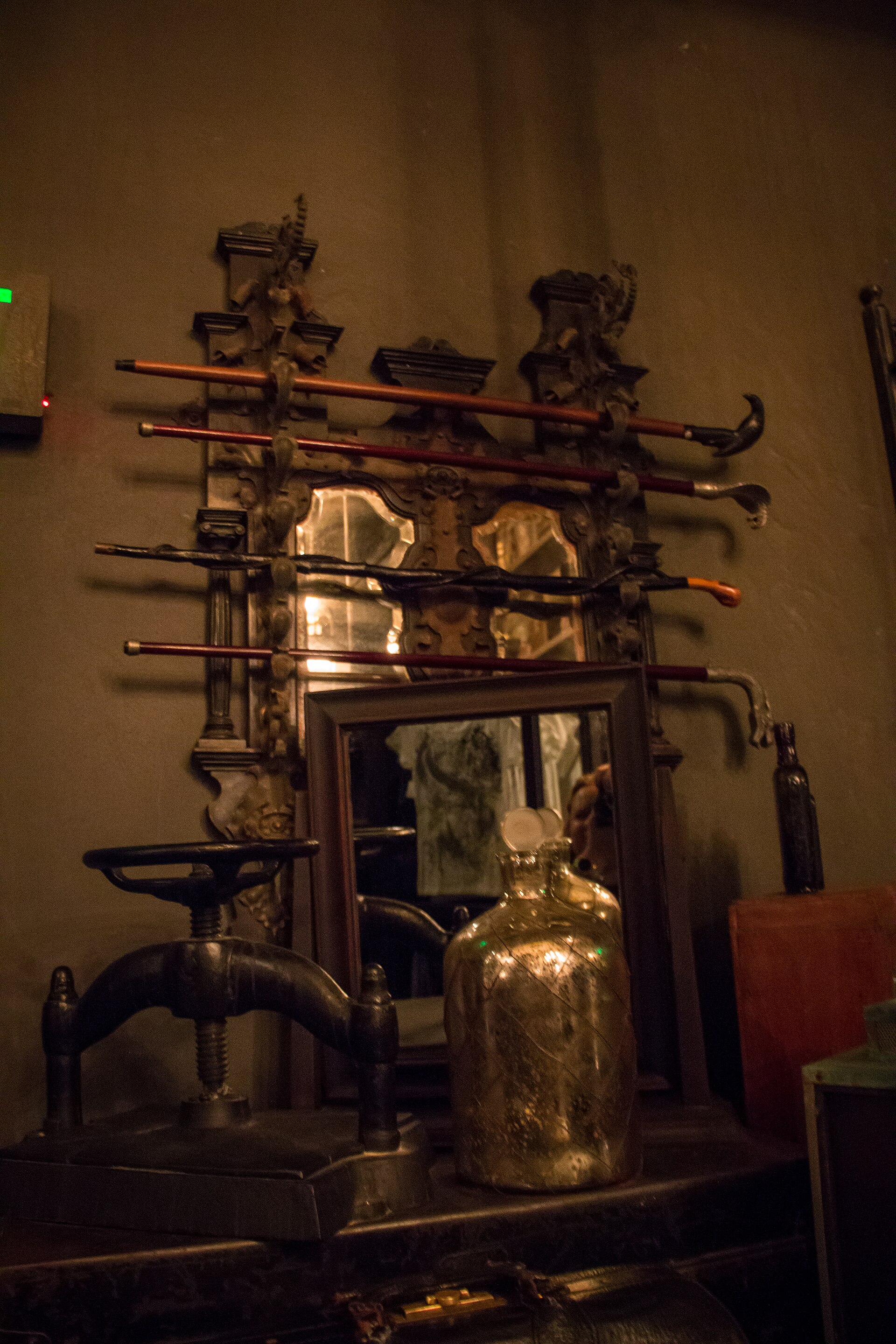 Ollivanders™ Experience in Diagon Alley™