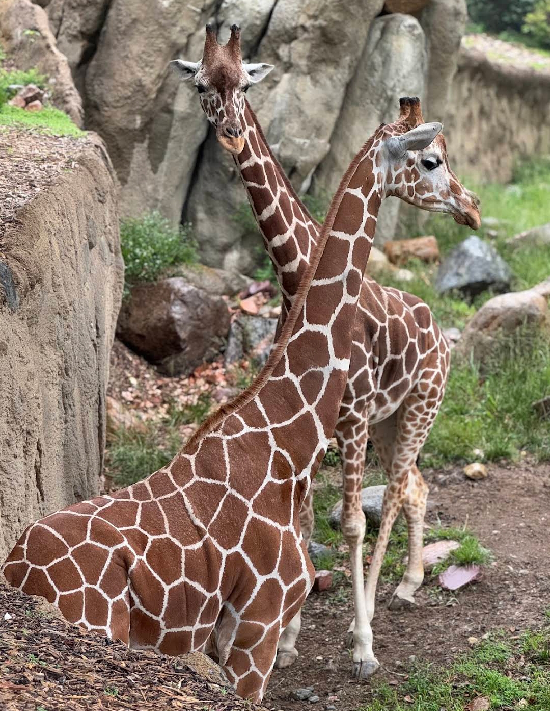 Omaha's Henry Doorly Zoo and Aquarium — Oficiais