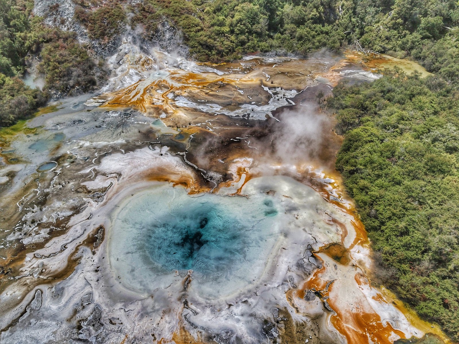 Orakei Korako — Oficiais