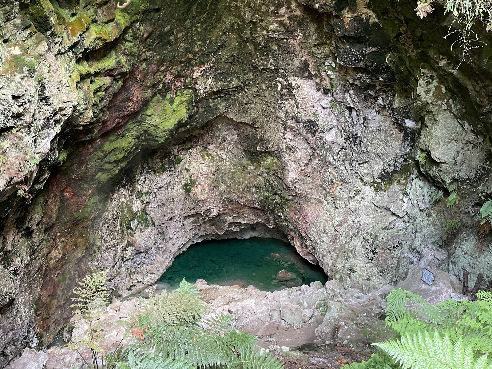 Orakei Korako — Oficiais