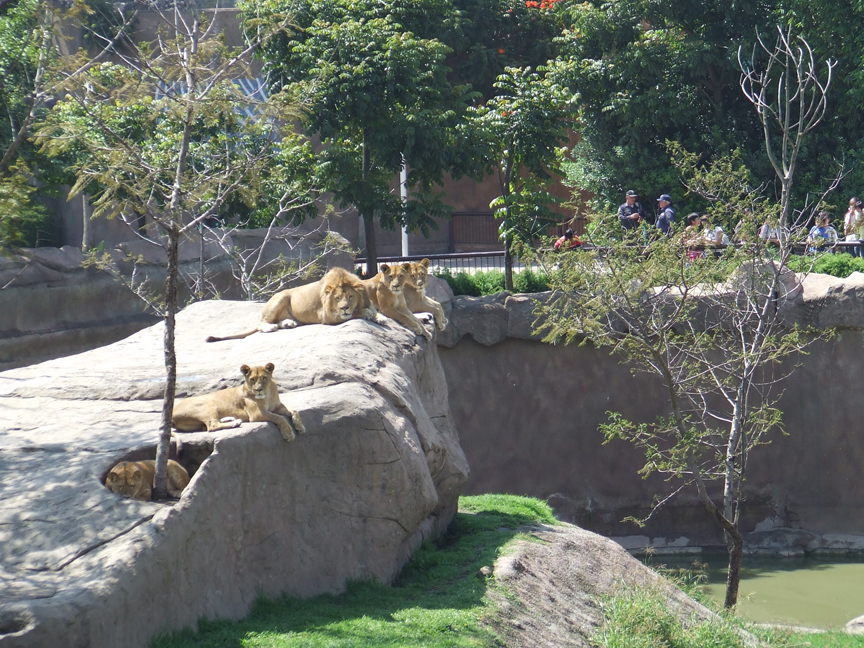 Zoológico de San Juan de Aragón