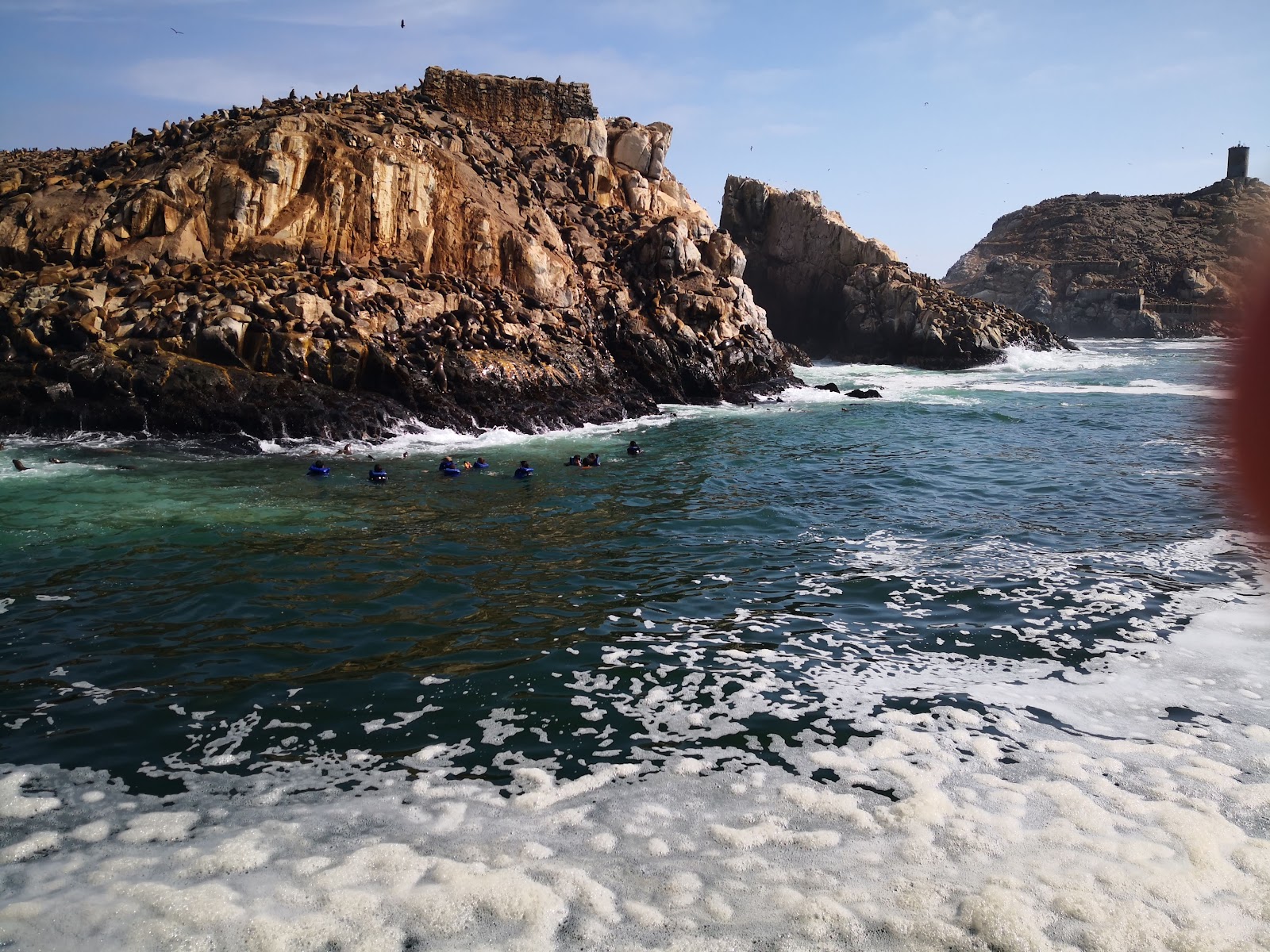 Palomino Islands