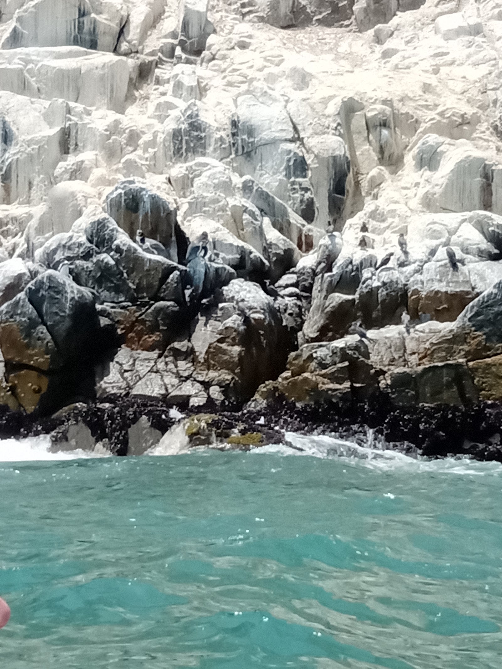 Palomino Islands — Oficiais