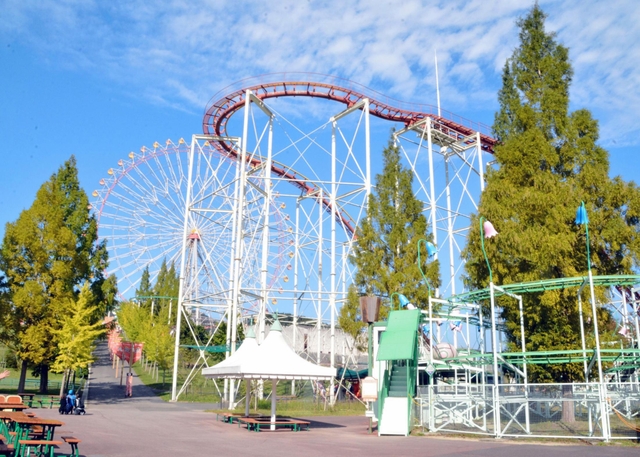 Panic Coaster
