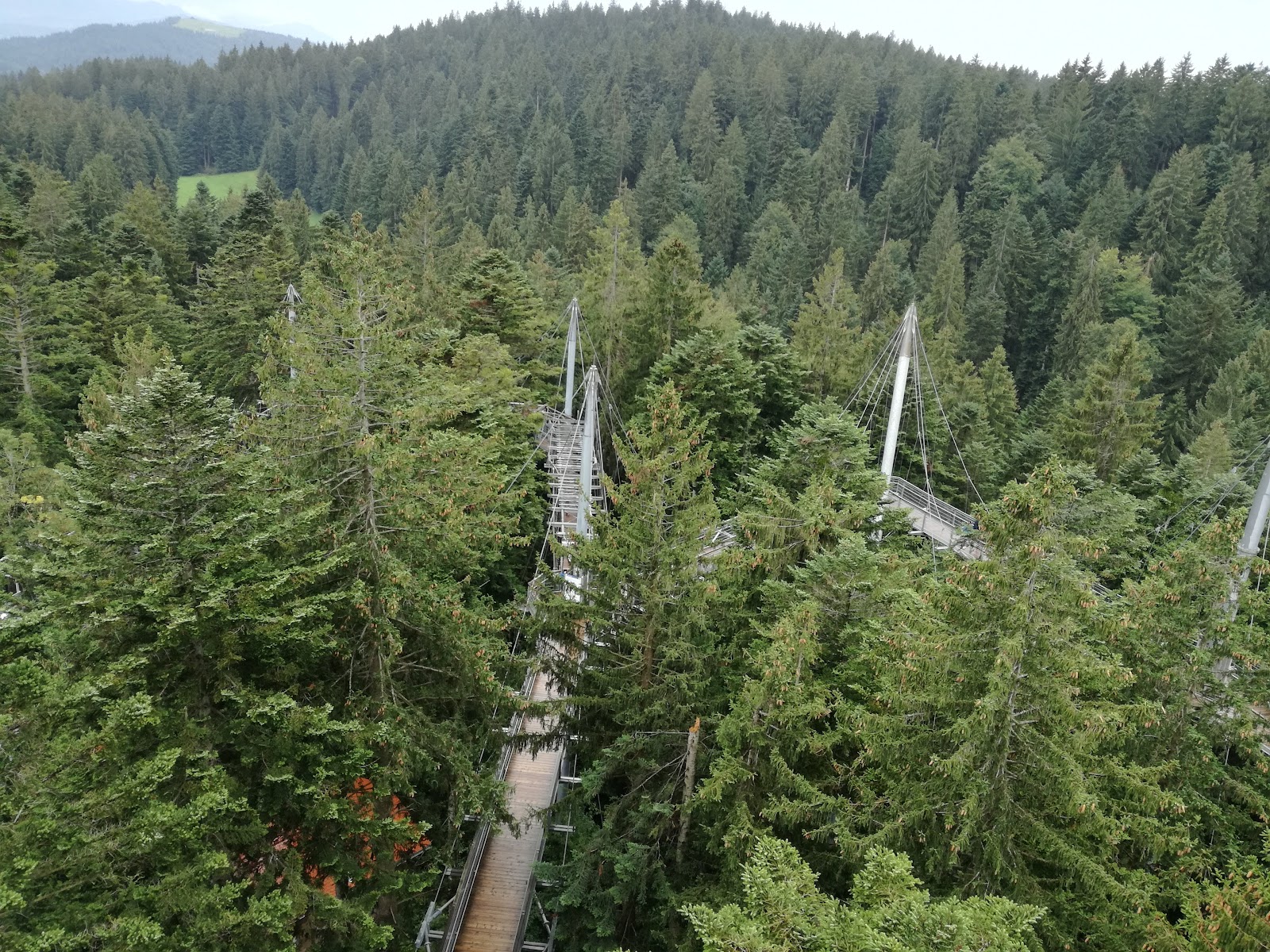 Panoramaweg — Oficiais