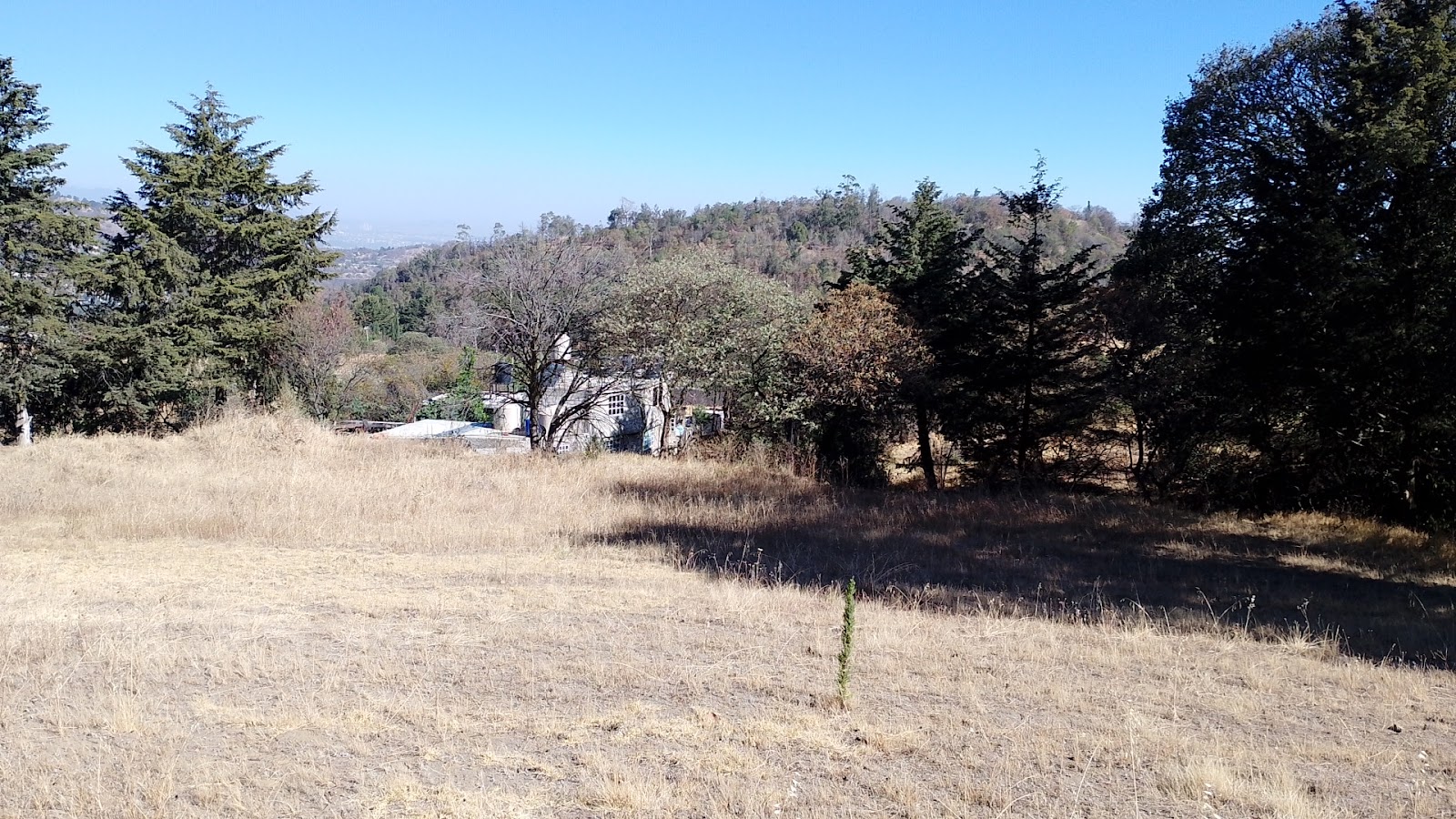 Paraje no. 5