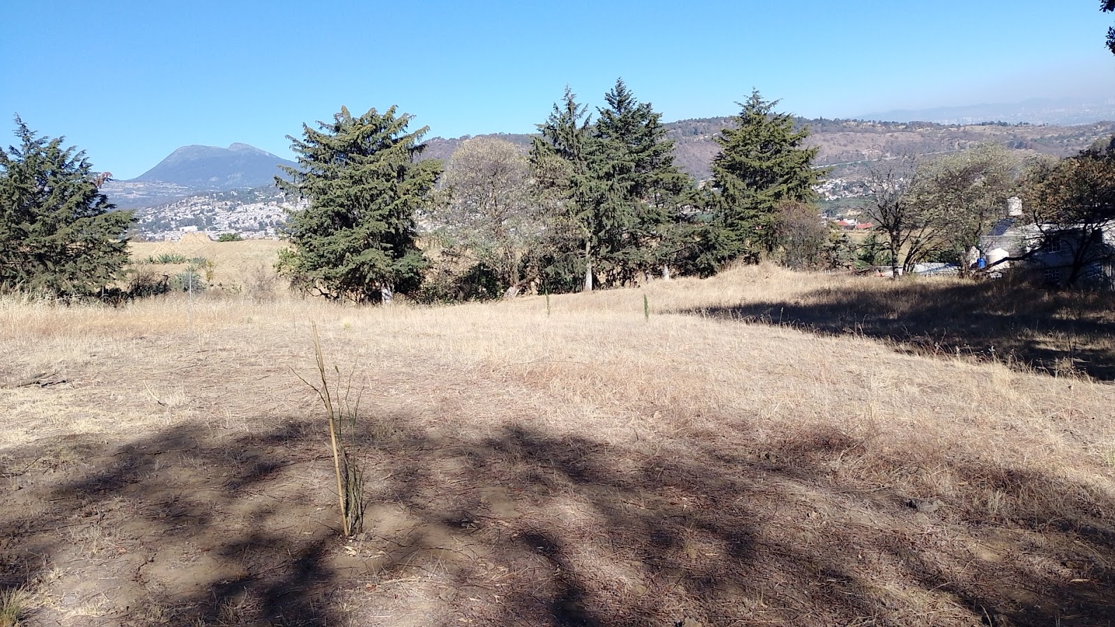 Paraje no. 5 — Oficiais