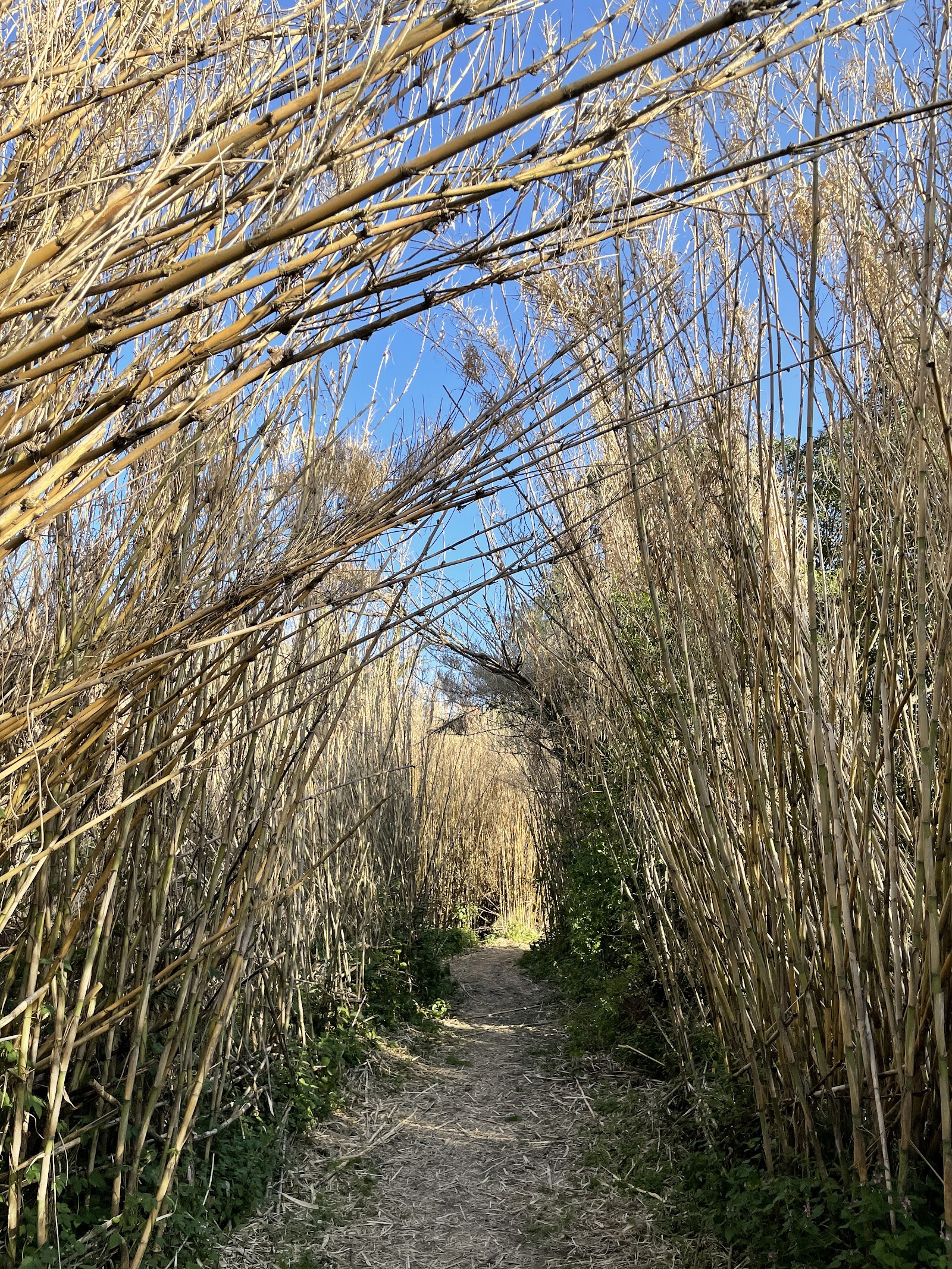 Parco dell'Acquafredda