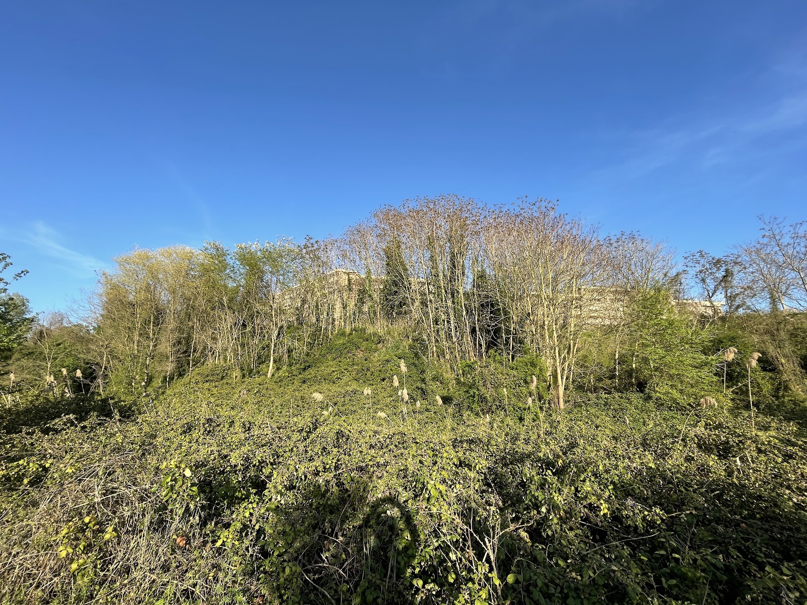 Parco dell'Acquafredda — Oficiais