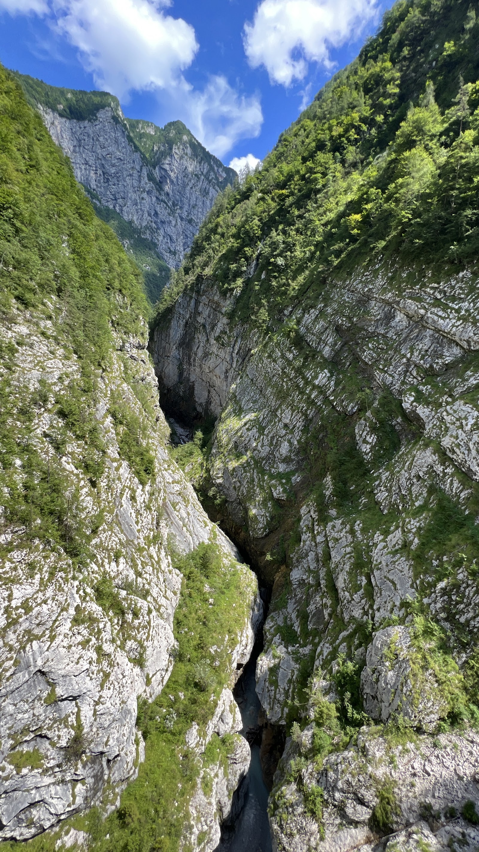 Parco Naturale delle Dolomiti Friulane — Oficiais