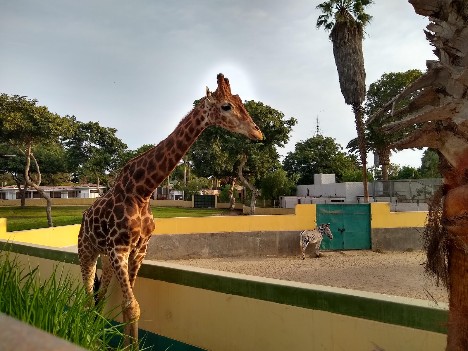 Parque das Leyendas — Oficiais