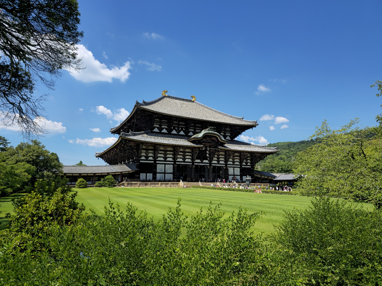 Parque de Nara