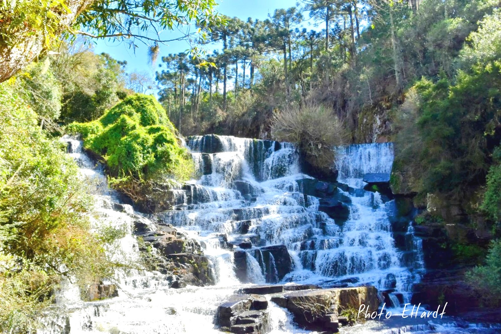 Parque do Caracol — Oficiais