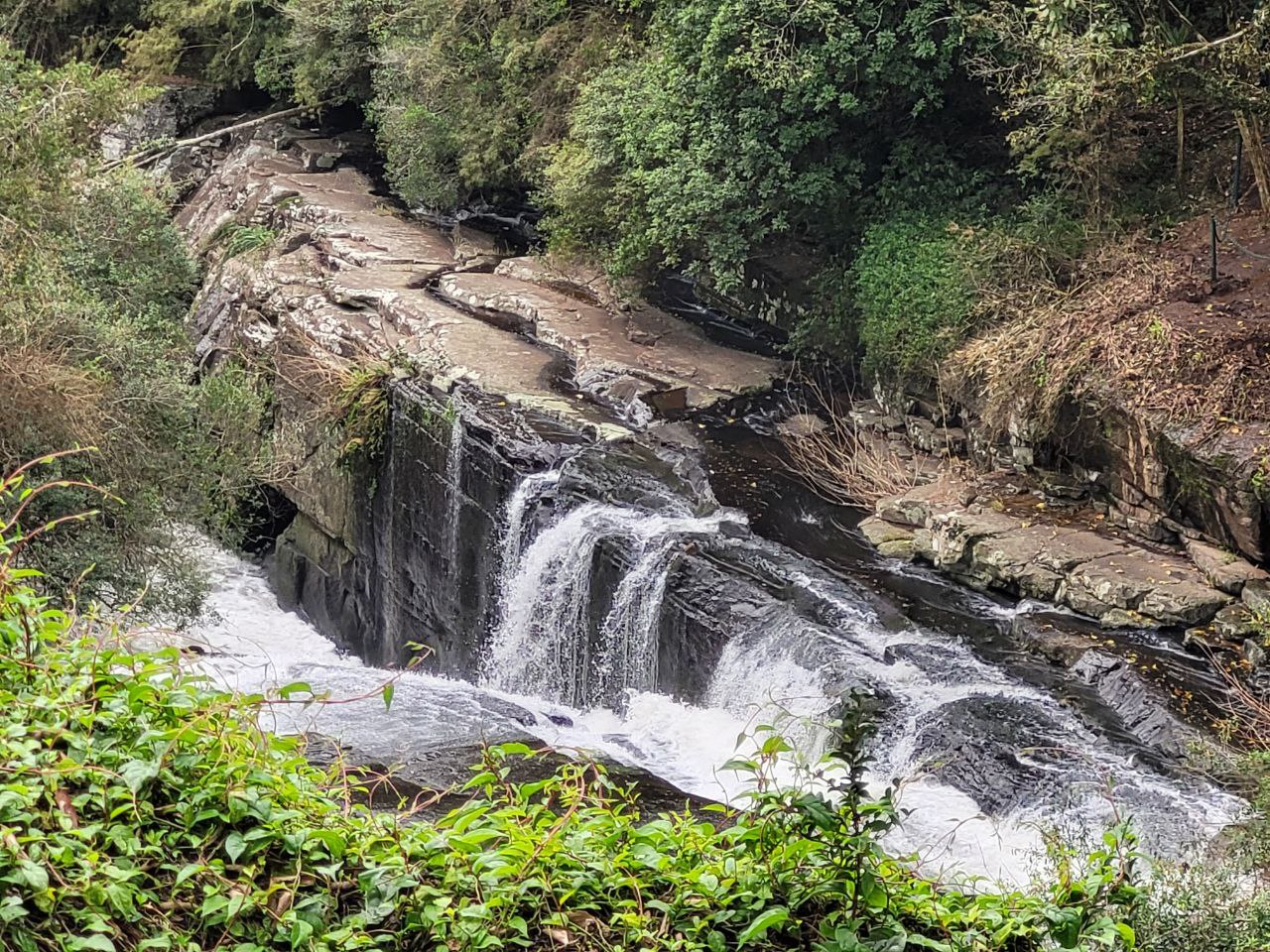 Parque do Caracol — Oficiais