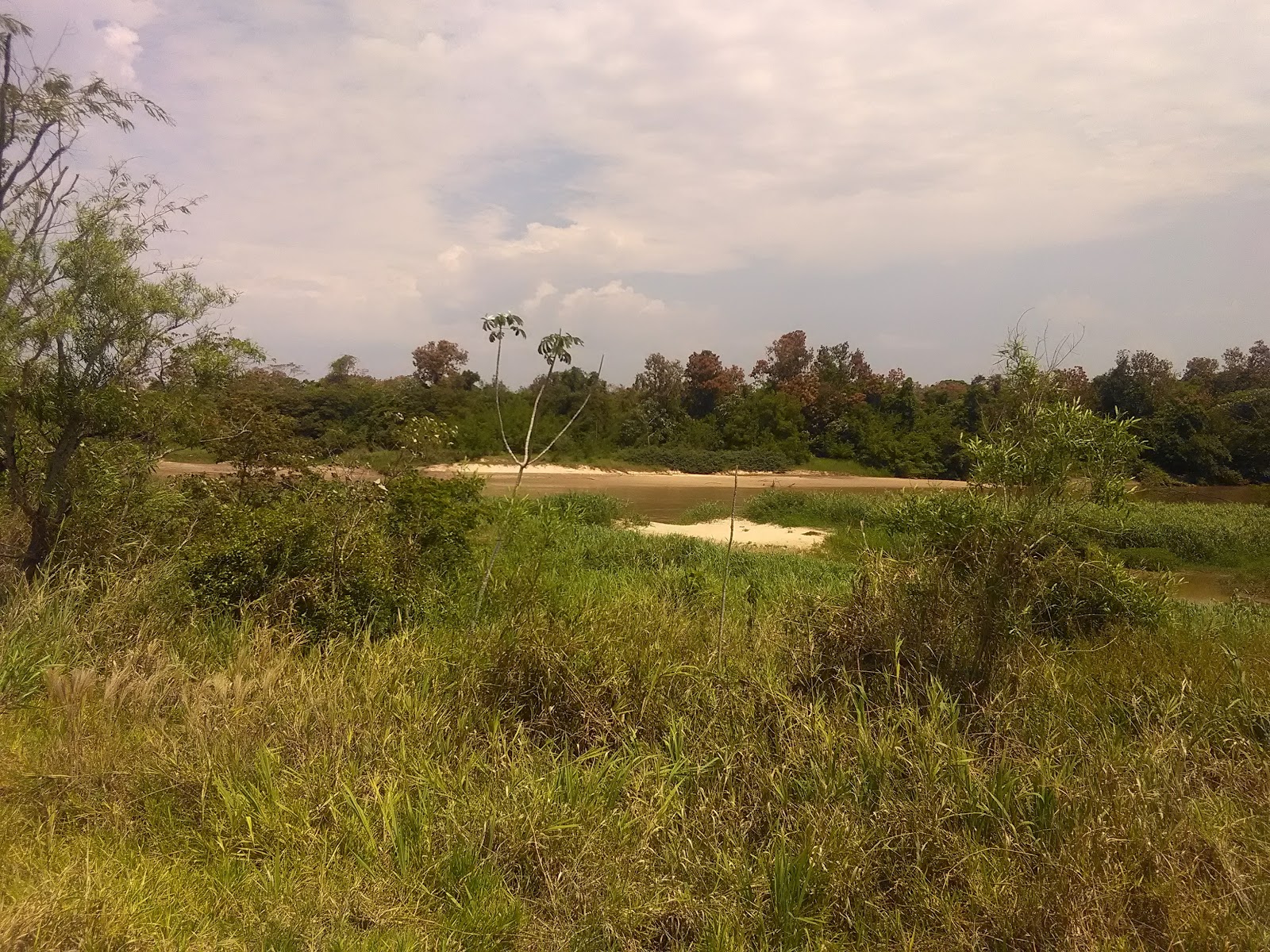 Parque Estadual do Aguapeí — Oficiais