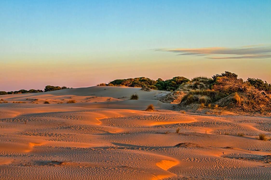 Parque Nacional de Doñana — Oficiais