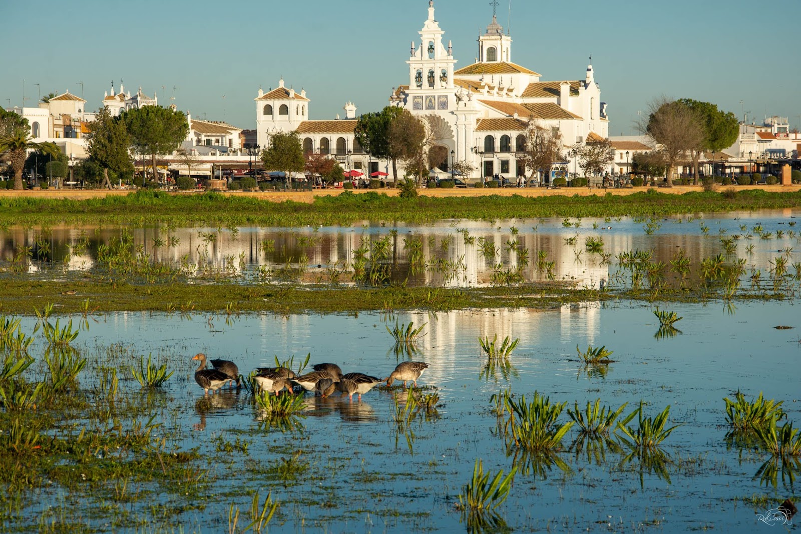 Parque Nacional de Doñana — Oficiais
