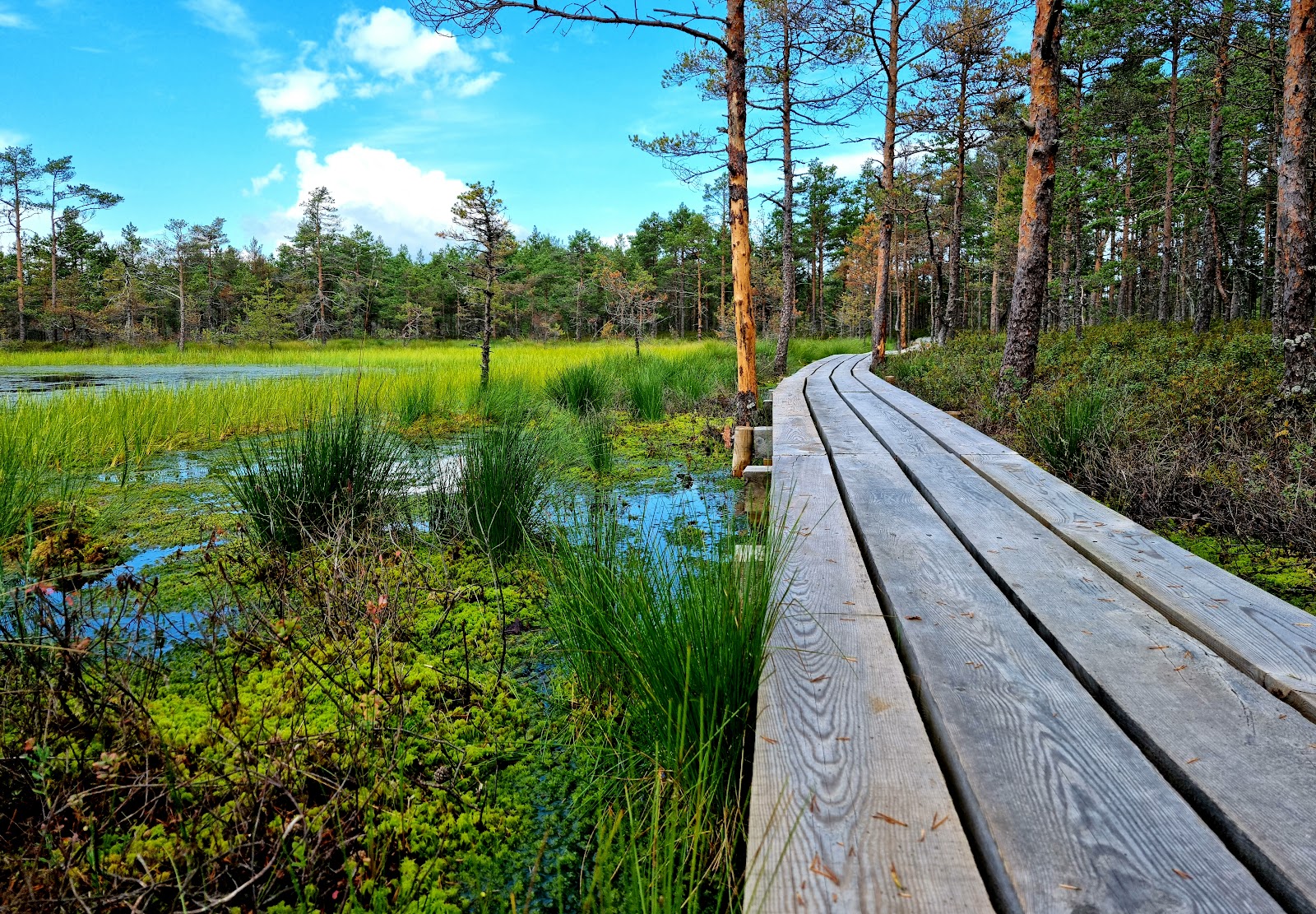 Parque Nacional de Lahemaa — Oficiais