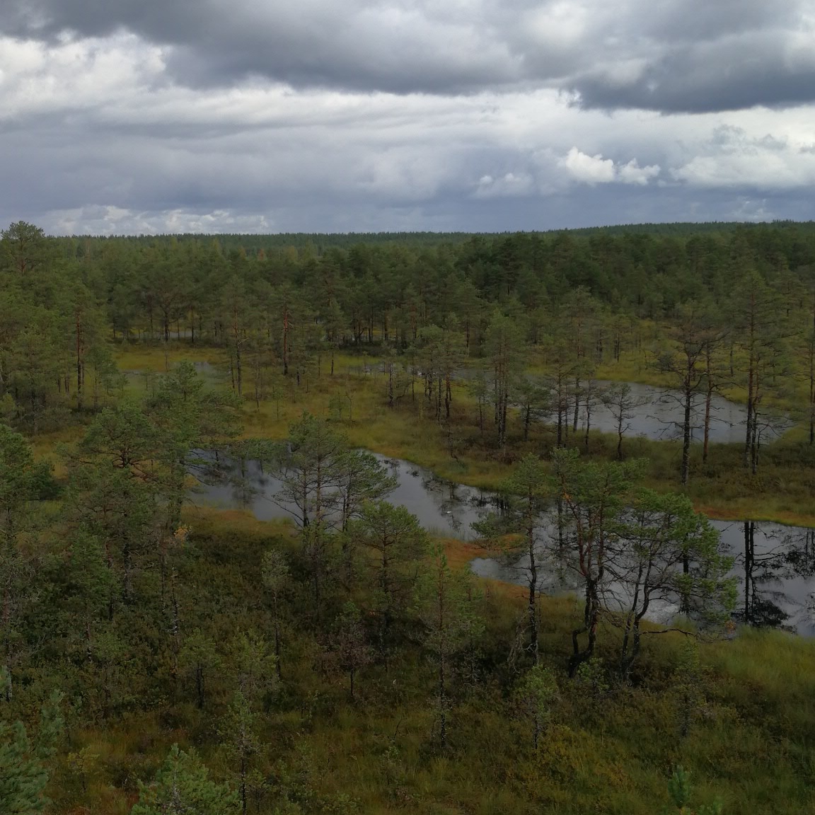 Parque Nacional de Lahemaa — Oficiais