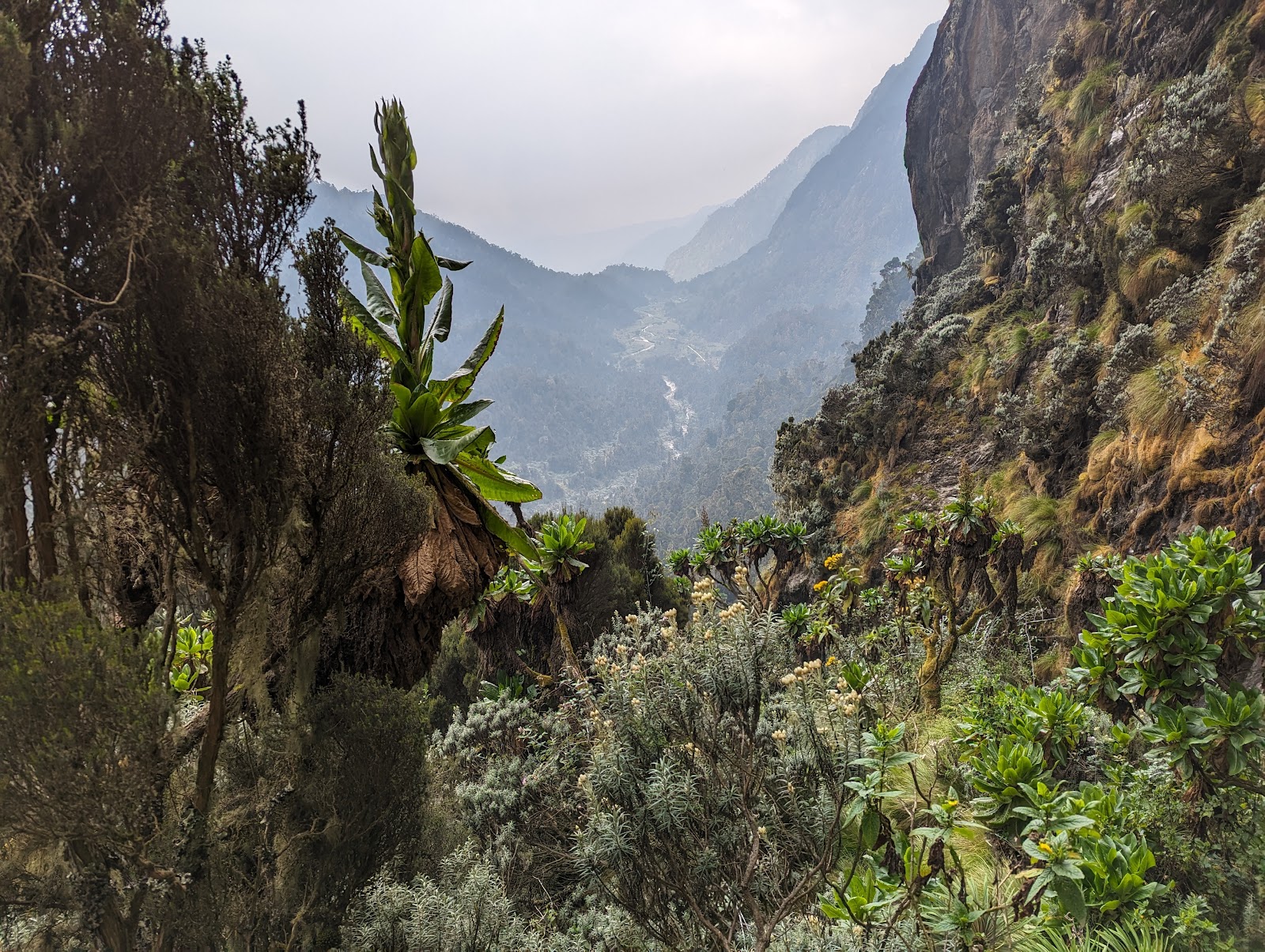 Parque Nacional de Rwenzori — Oficiais