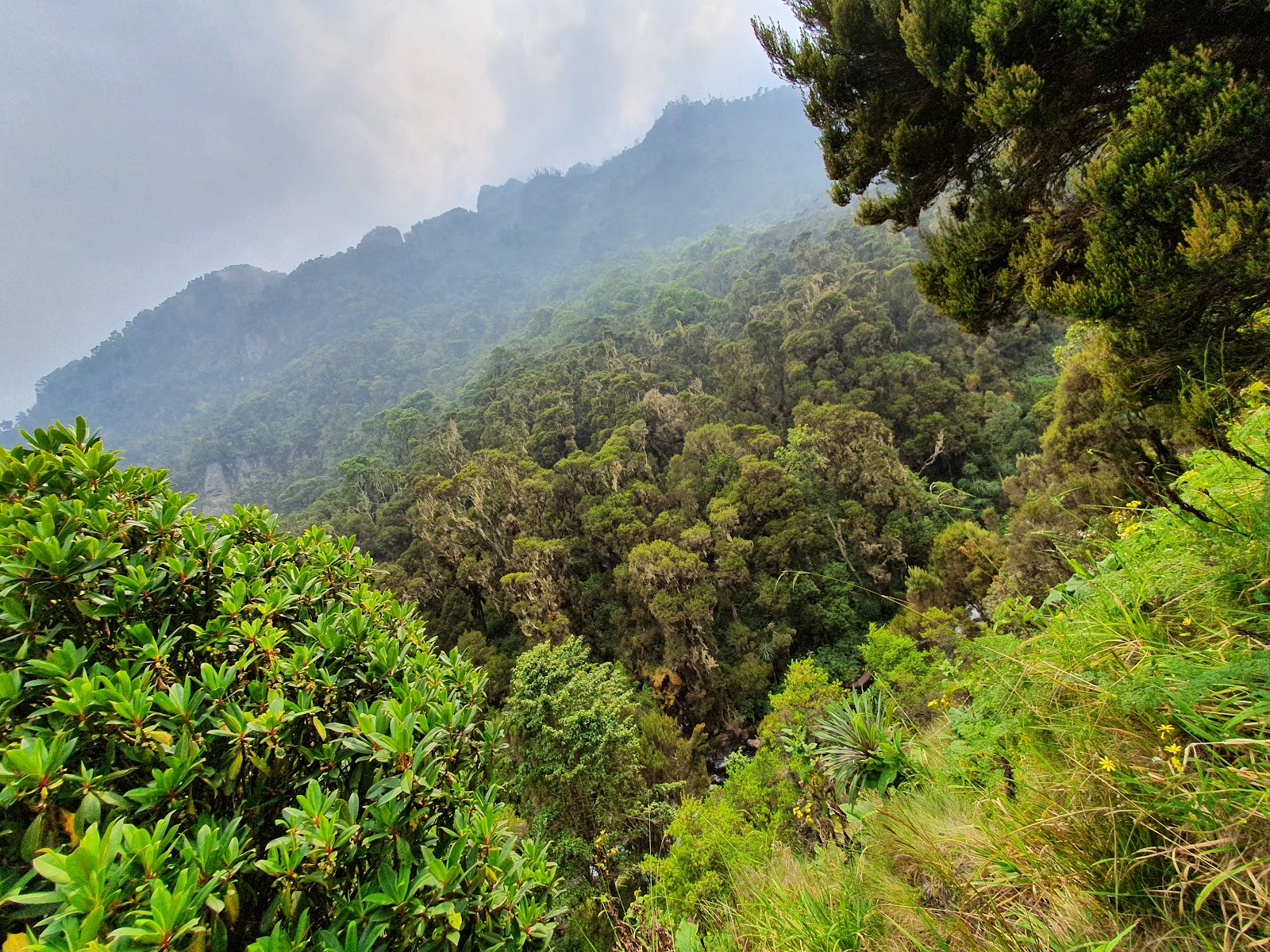 Parque Nacional de Rwenzori — Oficiais