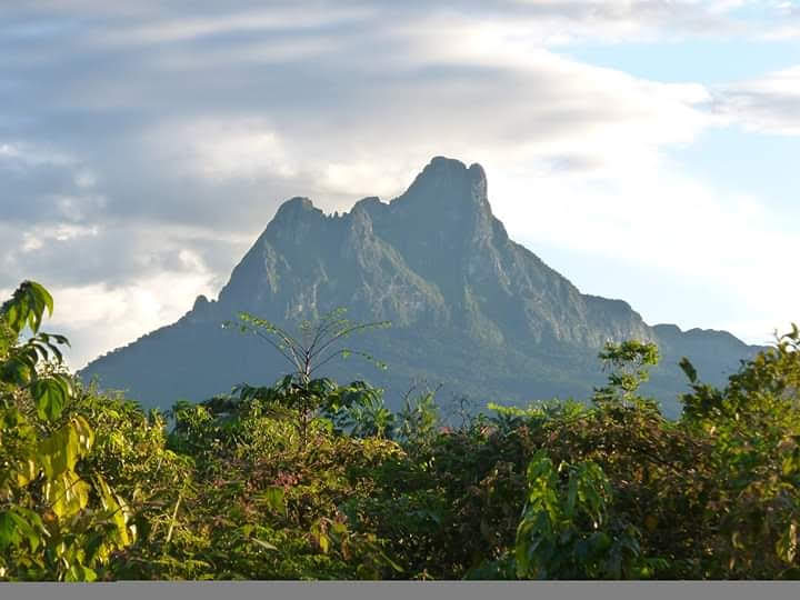 Parque Nacional do Pico da Neblina
