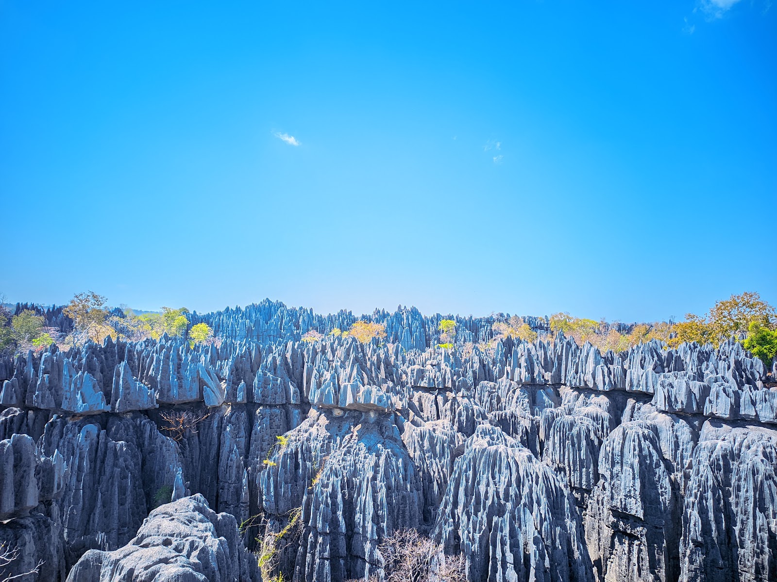 Parque Nacional do Tsingy de Bemaraha