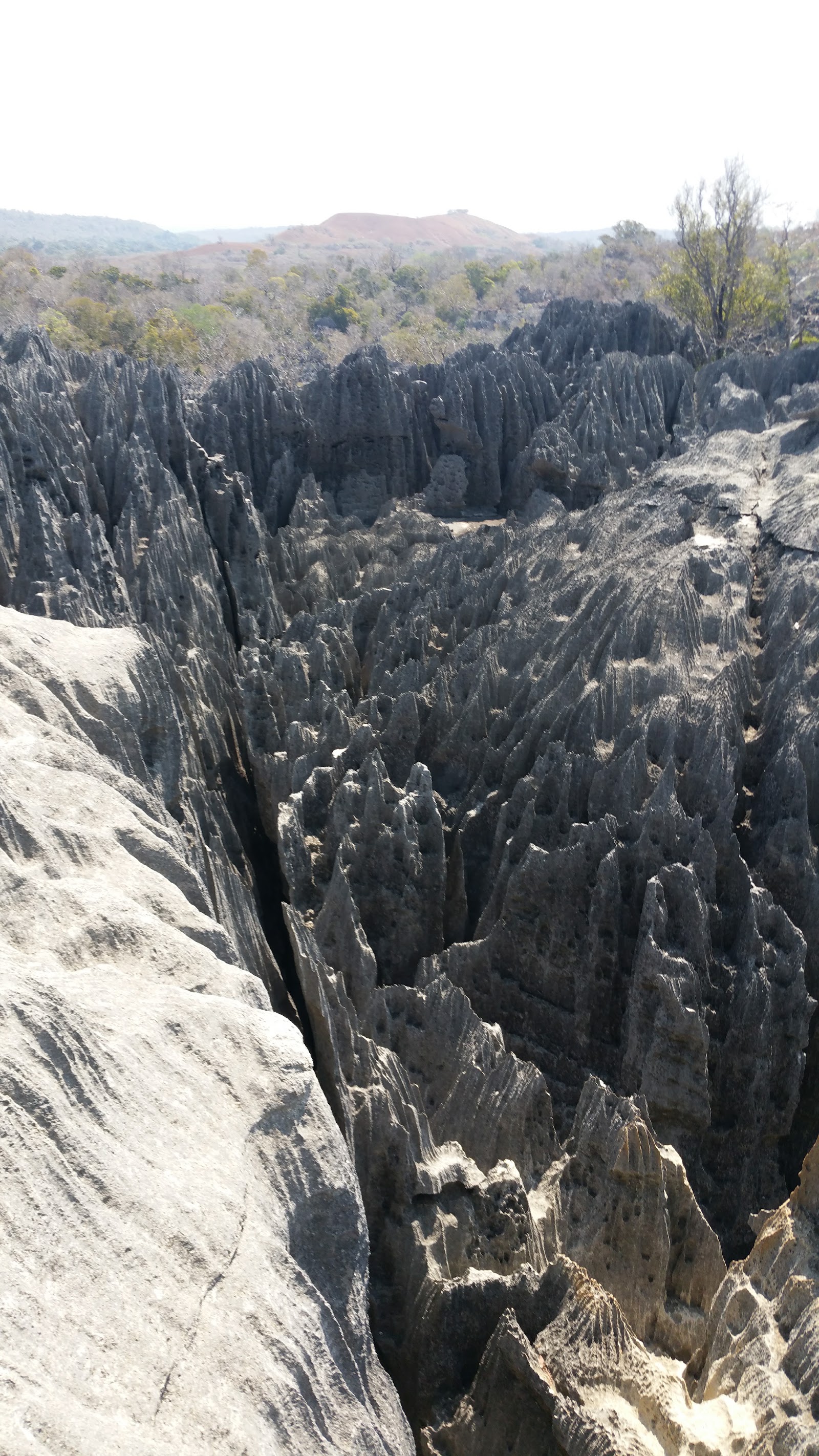 Parque Nacional do Tsingy de Bemaraha — Oficiais