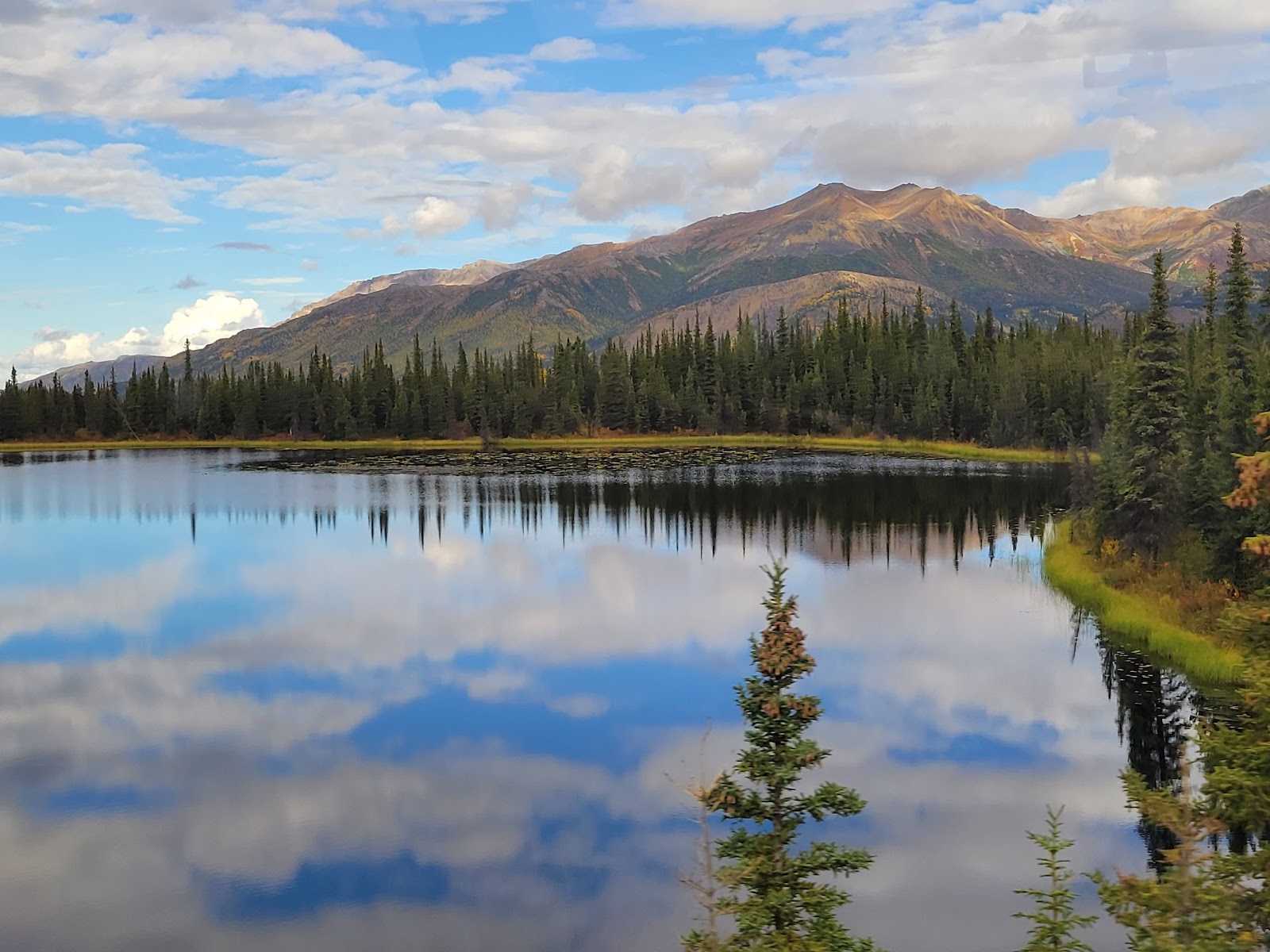 Parque Nacional e Reserva de Denali — Oficiais