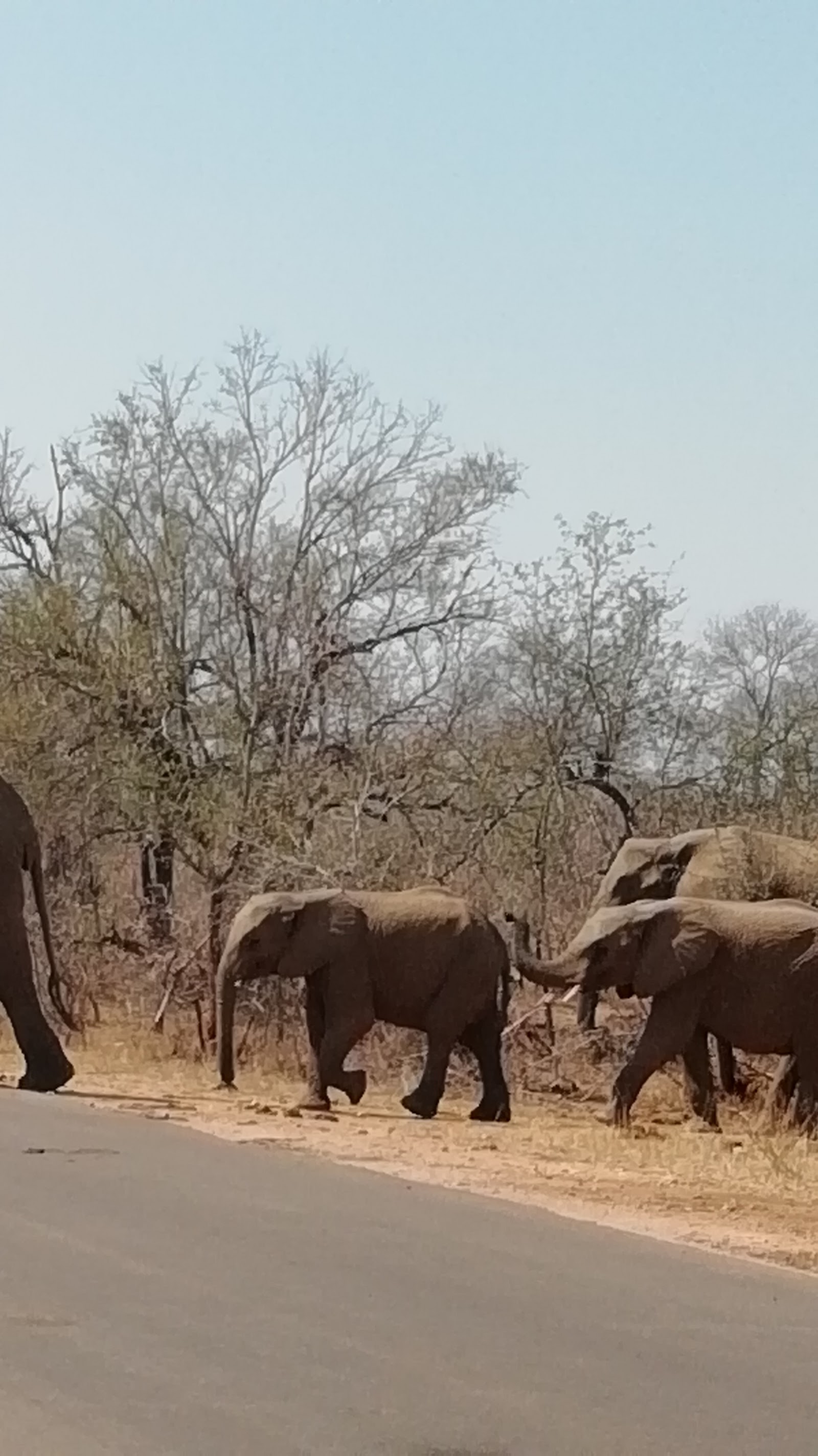 Parque Nacional Kruger — Oficiais
