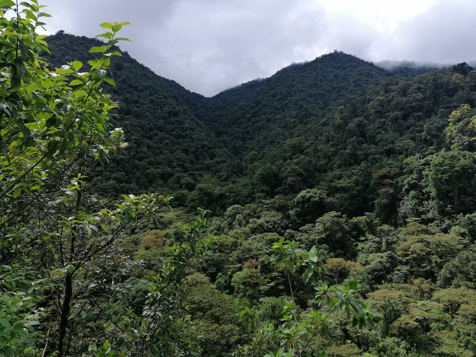 Parque Nacional Tapantí – Sector Orosí
