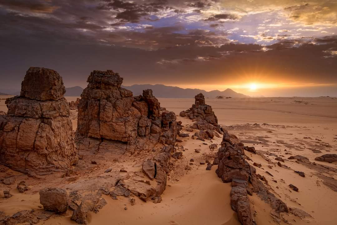 Parque Nacional Tassili N'Ajjer — Oficiais