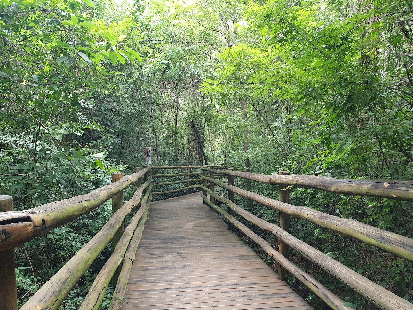 Parque Natural Ilha da Usina — Oficiais