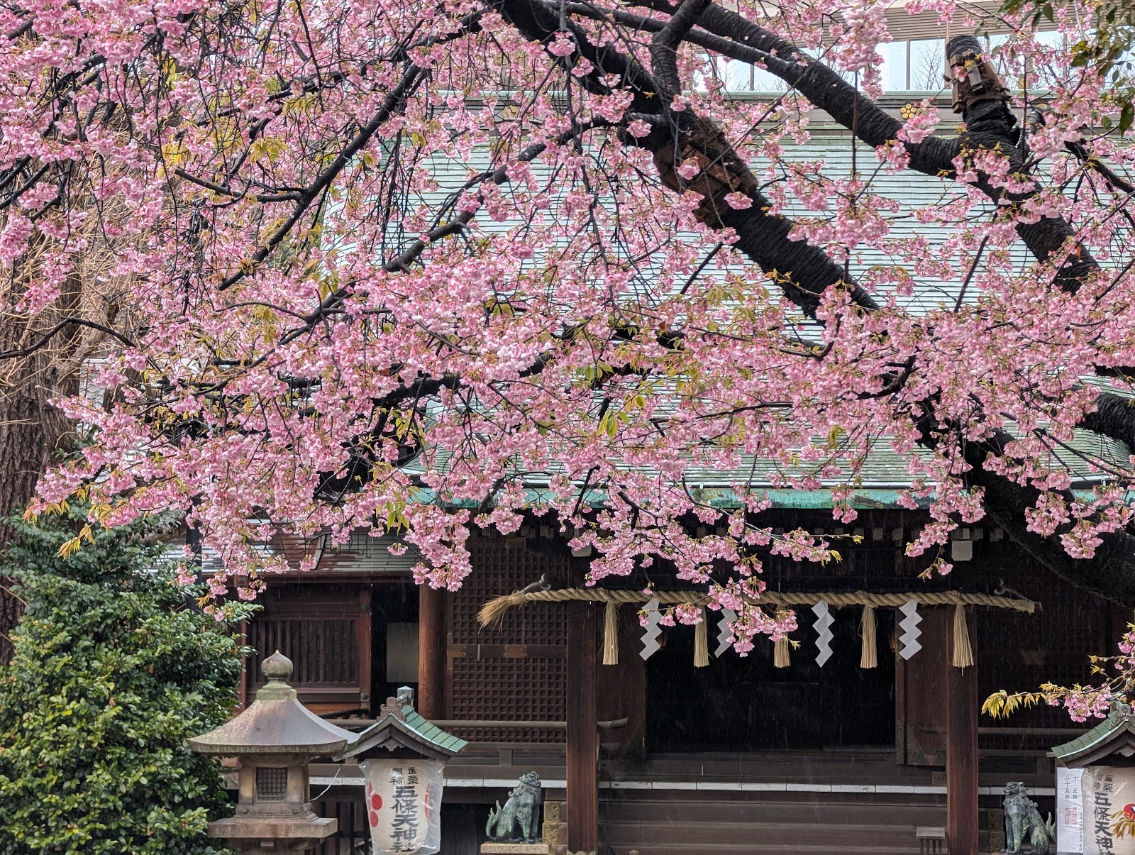 Parque Ueno — Oficiais
